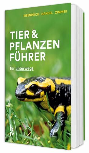 Der BLV Tier & Pflanzenführer: für unterwegs (BLV Naturführer)
