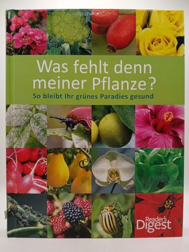 Was fehlt denn meiner Pflanze?: So bleibt Ihr grünes Paradies gesund