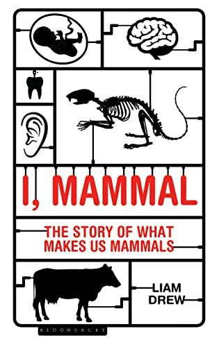 I, Mammal: The Story of What Makes Us Mammals (Bloombury Sigma)