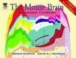 Mouse Brain in Stereotaxic Coordinates, 3rd edition, compact version