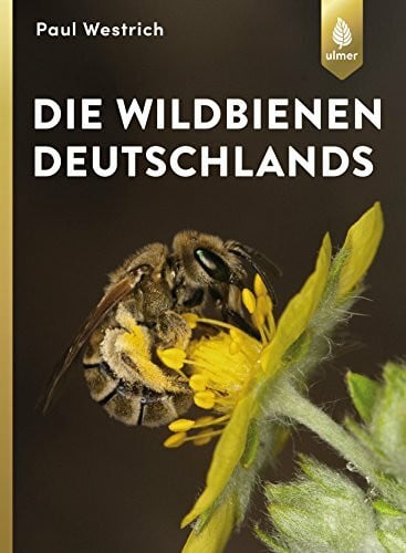 Die Wildbienen Deutschlands