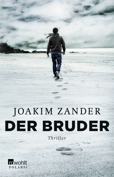 Der Bruder: Thriller aus Schweden (Klara Walldéen, Band 2)