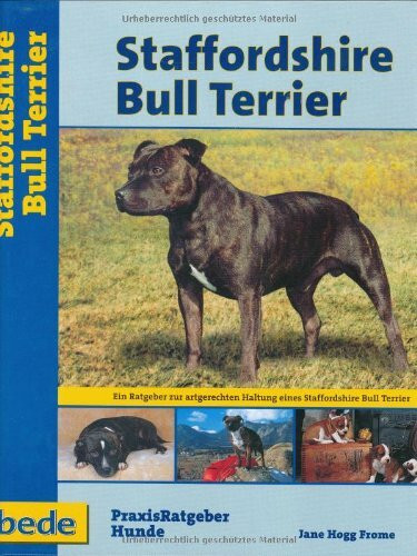 Staffordshire Bull Terrier, Praxisratgeber
