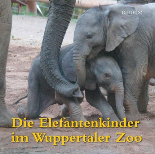 Die Elefantenkinder im Wuppertaler Zoo