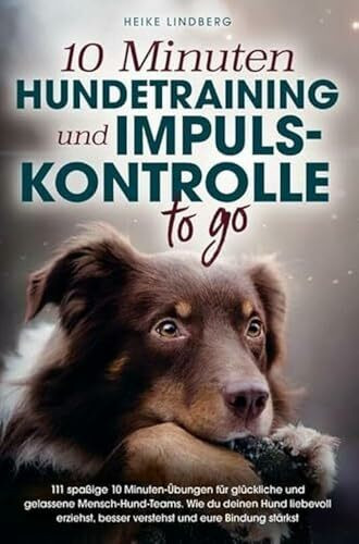 10 Minuten Hundetraining