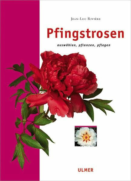 Pfingstrosen: Auswählen, pflanzen, pflegen