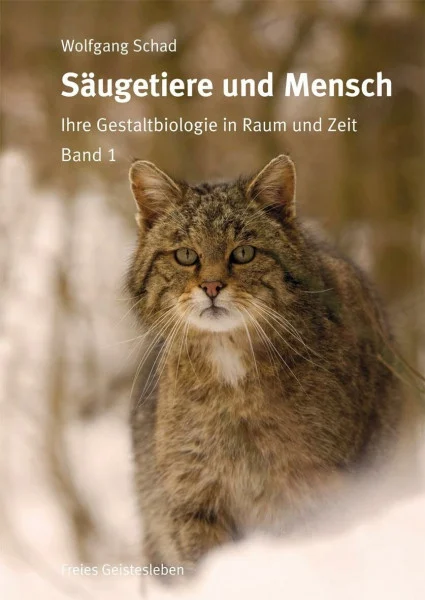 Säugetiere und Mensch: Ihre Gestaltbiologie in Raum und Zeit