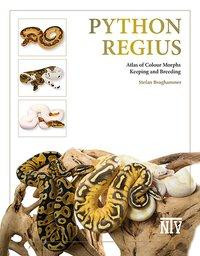 Python regius