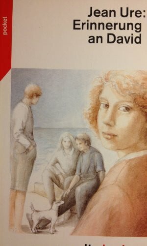 Erinnerung an David (dtv pocket)