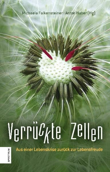 Verrückte Zellen: Aus einer Lebenskrise zurück zur Lebensfreude