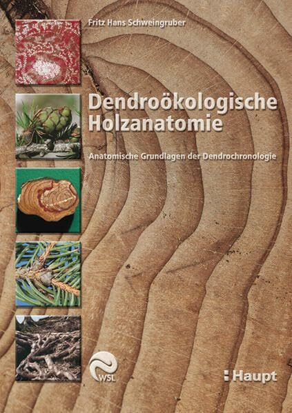 Dendroökologische Holzanatomie: Anatomische Grundlagen der Dendrochronologie