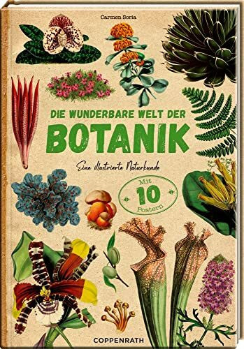 Die wunderbare Welt der Botanik: Eine illustrierte Naturkunde - Mit 10 herausnehmbaren Postern