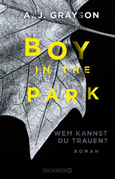 Boy in the Park – Wem kannst du trauen?: Roman