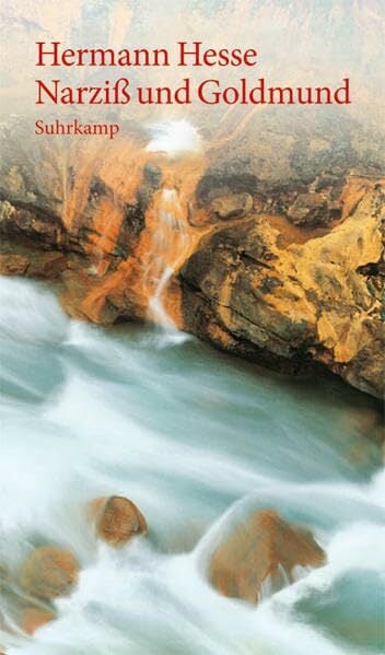 Narziß und Goldmund: Erzählung Narziß und Goldmund: Erzählung