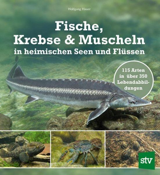 Fische, Krebse & Muscheln in heimischen Seen und Flüssen