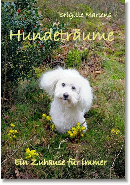 Hundeträume: Ein Zuhause für immer