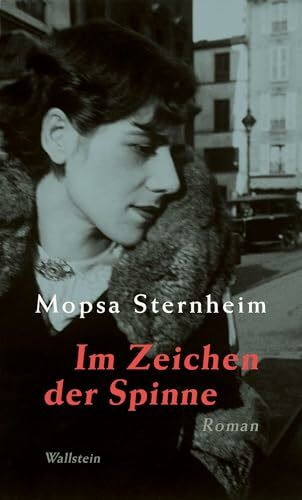 Im Zeichen der Spinne: Roman