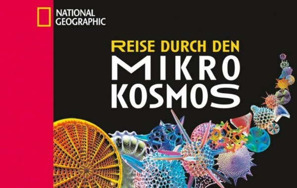 Reise durch den Mikrokosmos