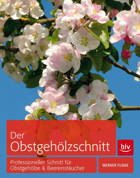 Der Obstgehölzschnitt: Professioneller Schnitt für Obstgehölze & Beerensträucher