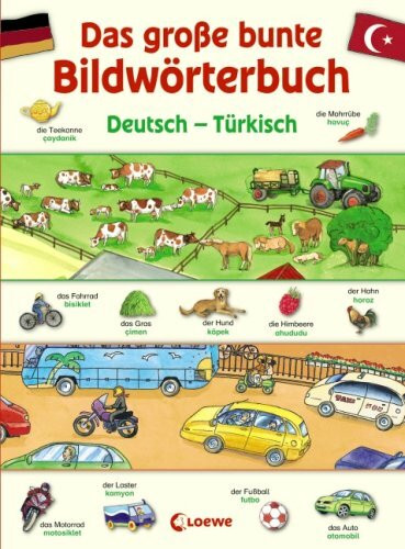 Das große bunte Bildwörterbuch: Deutsch – Türkisch