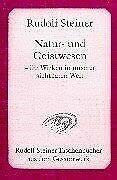 Natur- und Geistwesen - ihr Wirken in unserer sichtbaren Welt: Hörernotizen von 18 Vorträgen in verschiedenen Städten 1907-1908 (Rudolf Steiner Taschenbücher aus dem Gesamtwerk)