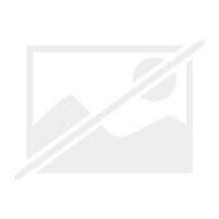Kognitive Verhaltenstherapie bei Depressionen. Behandlungsanleitungen und Materialien