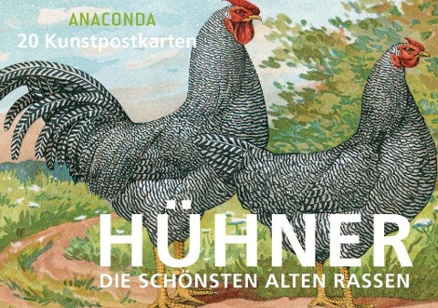 Postkartenbuch Hühner