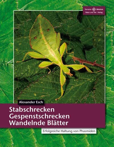 Stabschrecken, Gespenstschrecken, Wandelnde Blätter: Erfolgreiche Haltung von Phasmiden (Terrarien-Bibliothek)