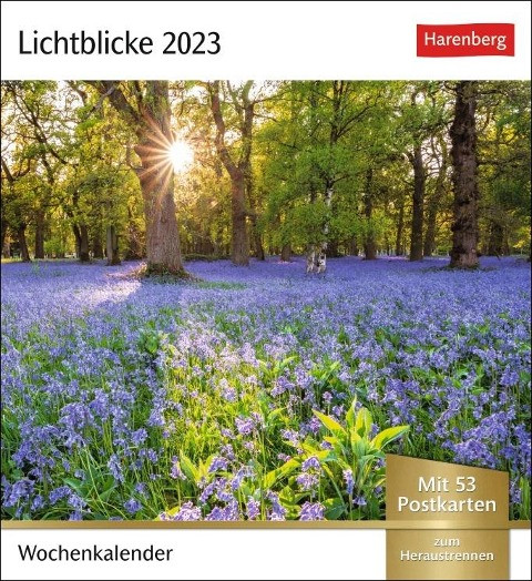 Lichtblicke Postkartenkalender 2023