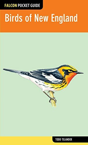 Birds of New England (Falcon Pocket Guides)