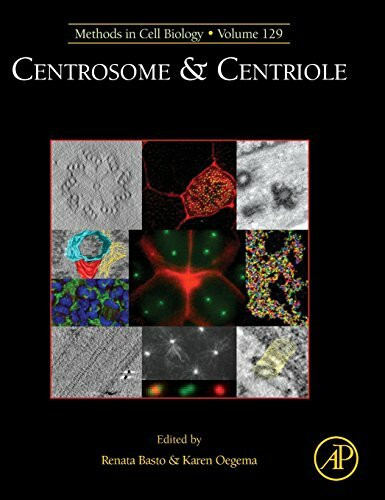 Centrosome and Centriole (Volume 129) (Methods in Cell Biology, Volume 129, Band 129)