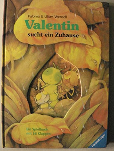 Valentin sucht ein Zuhause: Bilderbuch mit Klappen