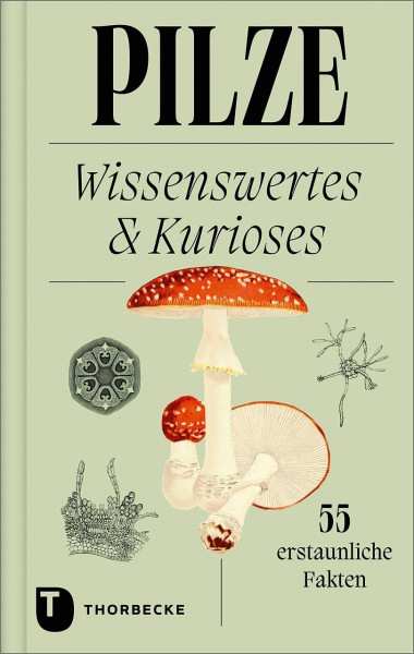 Pilze: Wissenswertes und Kurioses – 55 erstaunliche Fakten