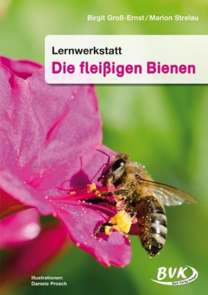 Lernwerkstatt. Die fleißigen Bienen