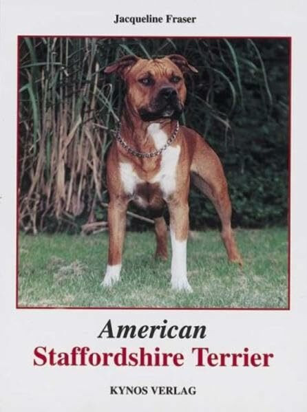 American Staffordshire Terrier