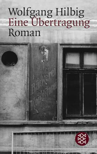 Eine Übertragung: Roman