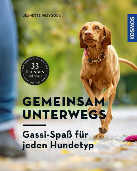 Gemeinsam unterwegs: Gassi-Spaß für alle Hundetypen