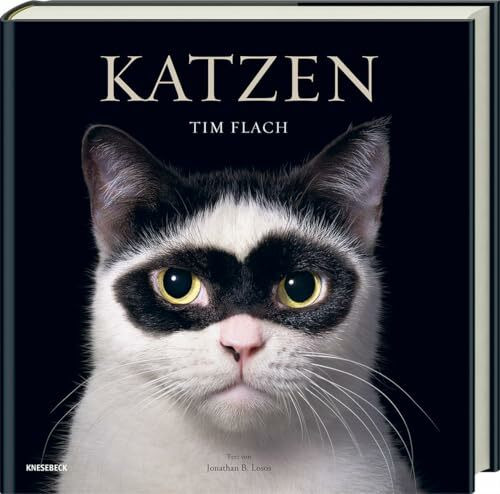 Katzen: Hochwertiger Bildband mit beeindruckender Tierfotografie, stimmungsvollen Aufnahmen und faszinierenden Fakten – das ideale Geschenk für Katzenliebhaber