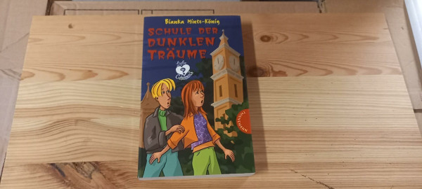 Schule der dunklen Träume (Liebe & Geheimnis)