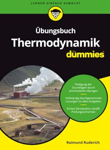 Übungsbuch Thermodynamik für Dummies