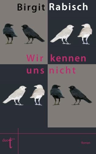 Wir kennen uns nicht: Roman