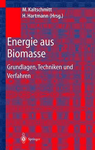 Energie aus Biomasse: Grundlagen, Techniken und Verfahren