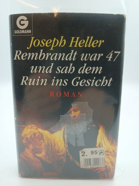 Rembrandt war siebenundvierzig und sah dem Ruin ins Gesicht