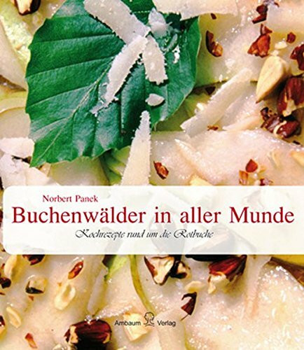 Buchenwälder in aller Munde: Kochrezepte rund um die Rotbuche