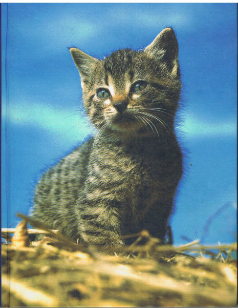 Katzen, Blankbook (blanko)