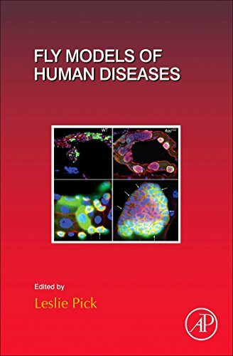 Fly Models of Human Diseases (Current Topics in Developmental Biology, Volume 121, Band 121)