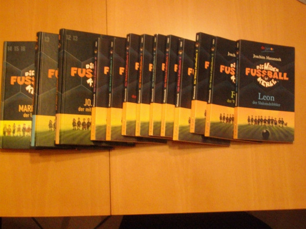 Die Wilden Kerle Band 1 - 13
