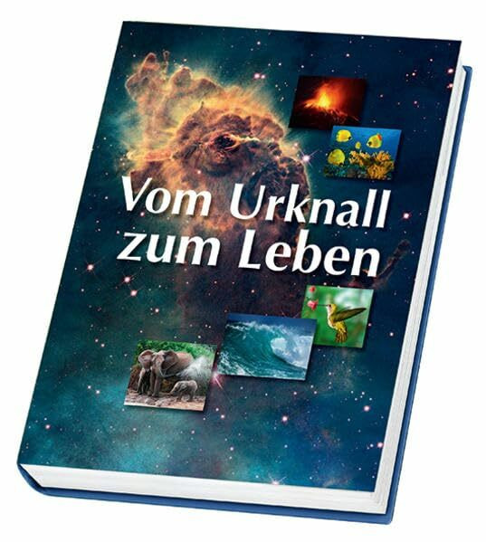 Vom Urknall zum Leben