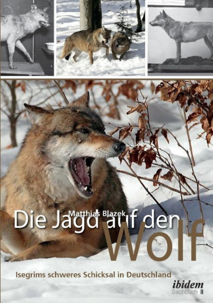 Die Jagd auf den Wolf