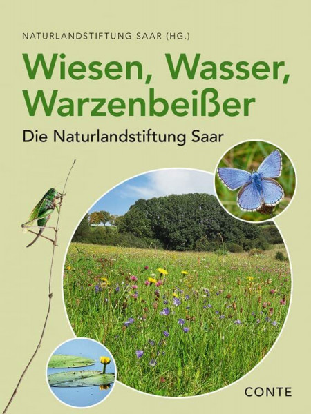 Wiesen, Wasser, Warzenbeißer: Die Naturlandstiftung Saar